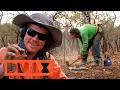 Download Lagu Goldsuche extrem: Der harte Weg zum Ziel | Goldrausch in Australien | COMPILATION | DMAX Deutschland
