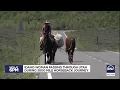 Woman riding 3 000 miles through the west with her horses and dog