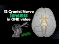 ALL 12 Cranial Nerves