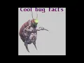SFM Cool Bug Fact s