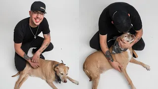 Chase Matthew The Pupdate