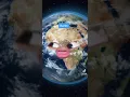 Channel