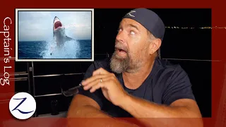 What About SHARKS?!! Do We Pay Taxes? (Q&A)