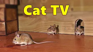 Cat TV Mice In The Jerry Mouse Hole 8 HOURS Videos For Cats 