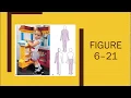 Chapter 6 part 2 narrated power point