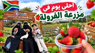 إلى مزرعة الفرولة ... شي رهيب🥲