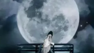محمود الدرويش تبقى   تسافر   ذا زيف وذا جدل دندنها