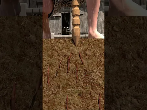 #zarooratrishta