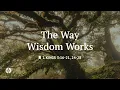 The Way Wisdom Works Reading Our Daily Bread Devotional July 7 2026