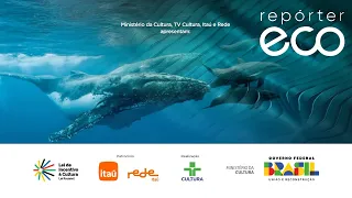 ECO REPORTER 1538