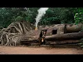 Download Lagu Build a Complete and Warm Shelter Under a Giant Oak Tree. Survival, Bushcraft