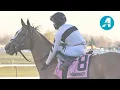 Talking Horses - March 27 2026