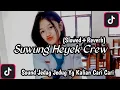 Download Lagu DJ  🎧  Suwung Heyek Crew (Slowed + Reverb)  🎧