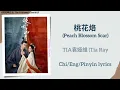 Download Lagu 桃花烙 (Peach Blossom Scar) - TIA袁娅维 (Tia Ray)《桃花映江山 The Princess's Gambit》Chi/Eng/Pinyin lyrics