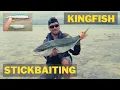 Stick baiting for - tips tricks and techniques Parengarenga Harbour New Zealand