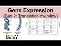 Gene Expression - Part 2
