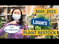 NEW Hanging Plants at Lowe s May 2021 Lots of 15 Monstera Adansonii