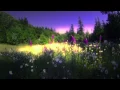 Wisdom Film - Ram Dass
