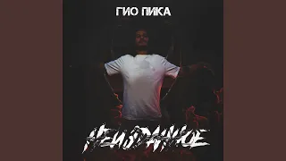 Чёрный дельфин 2017 