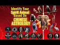 How To identify Your Spirit Animal Based On Your Chinese Astrology