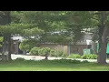 Silvis assisted-living home closing Guardian of final resident says his eviction notice came late