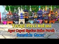 Lagu Terapi Pleci Koloni || Simulasi Lomba Pleci || Masteran Pleci