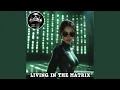 Download Lagu LIVING IN THE MATRIX