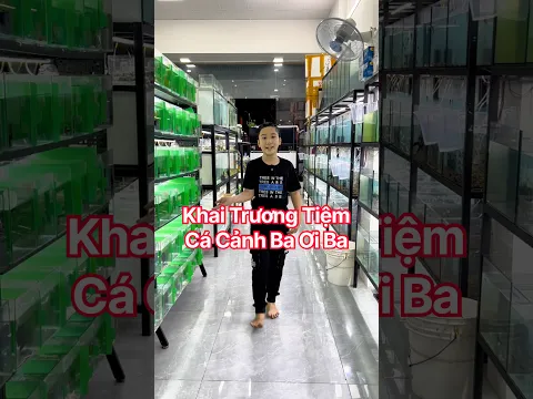 Khai Trương Tiệm Cá Cảnh Ba Ơi Ba , nhiều quà tặng hấp dẫn . #bettasales #baoiba #cacanh