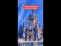7 Tips for Handling Crowds at Disney