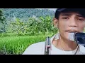 Download Lagu Lagu iwan fales full album