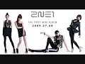 I Don't Care with Lyrics by 2NE1
