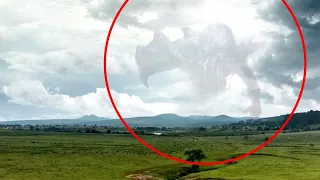 10 Giant Mysterious Creatures Caught on Camera