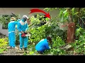 Lagu Time-Lapse: Mystery Encounter During Cleanup — Who Is the Woman Standing in the Trees? 😨