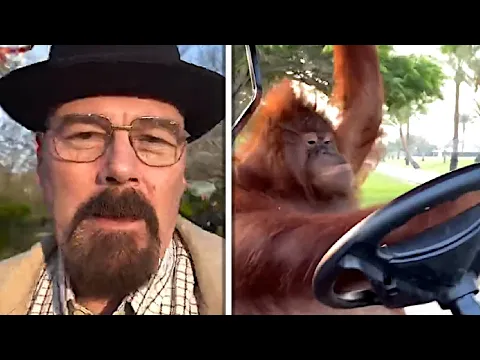 walter white vs monke