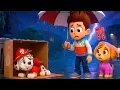 Download Lagu Where Did MARSHALL Go?! CHASE Is Looking for you! Paw Patrol 3D Animation