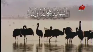 اذان الظهر بصوت الشيخ سيد النقبشندي على قناة نايل سينما 2015 قديم 