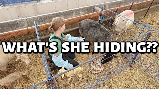 These mama's are hiding things... and not all are good.😳