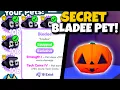 THE NEW SECRET BLADEE PET HUNT Pet Simulator X Roblox