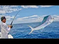 We Found our Lost Anchor Dodged Bad Storms Explored a Beautiful Island and Caught Some Big Fish