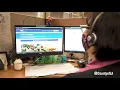 Essential Job in 60 Seconds Johanah Tan DPSS Eligibility Worker II