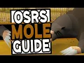 The Ultimate Giant Mole Guide in OSRS 2020