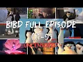 BIBD FULL EPISODE 0-9 (UNCENSORED) - memes