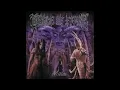 Cradle of Filth - Her Ghost in the Fog