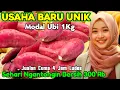 Download Lagu 9 JT / BLN.MODAL UBI DIBIKIN UNIK YANG PESEN SAMPAI KELUAR NEGERI. UNIK TANPA PESAING.IDE USAHA