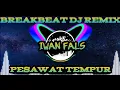 PESAWAT TEMPUR | IWAN FALS • BREAKBEAT DJ REMIX TERBARU