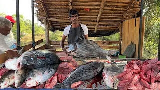 INCREDIBLE! MONSTER Catla Fish Flawless & Clean Slicing in a Serene Village