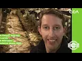Lagu GEA Dairy Farming - Niek Flinkert, Pays-Bas - GEA Automated Feeding Systems