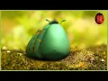 Download Lagu Love Apple | Minuscule 🍃 55' Compilation