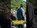 Download Lagu Timothy Treadwell pushes a grizzly bear away from him #shorts #bears #scarystories #grizzlybear