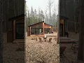 Download Lagu Cozy Scandinavian Tiny Home w/ Minimalist Design Deep in the Woods!
